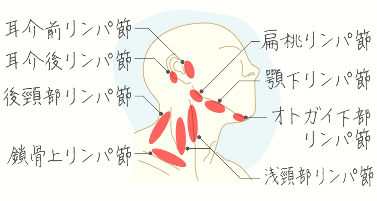 頸部リンパ節炎 イメージ