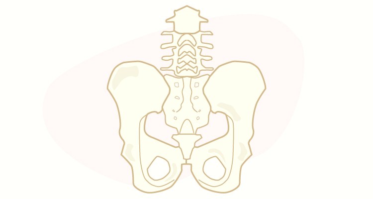 腰の痛みイメージ画像